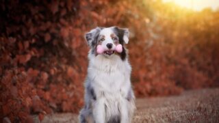 Ilustrační snímek