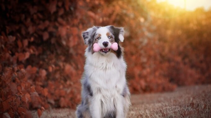 Ilustrační snímek