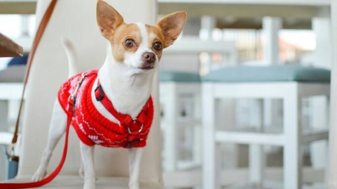 Ilustrační snímek