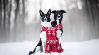 Ilustrační snímek