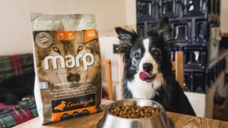 Ilustrační snímek