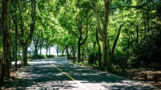 Ilustrační snímek