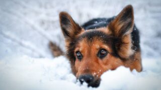 Ilustrační snímek