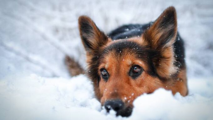 Ilustrační snímek