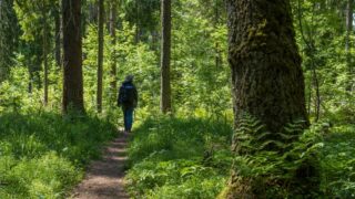 Ilustrační snímek