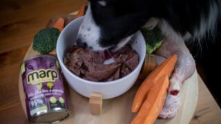 Ilustrační snímek