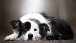 Ilustrační snímek