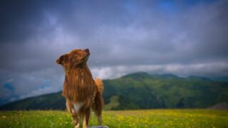 Ilustrační snímek