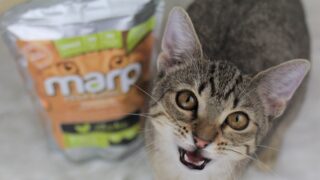 Ilustrační snímek