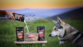 Ilustrační snímek