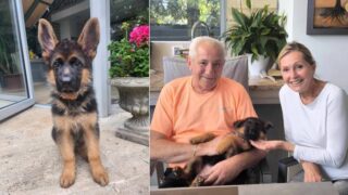 Zpěvačka s manželem a jejich novou psí kamarádkou