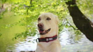 Ilustrační snímek