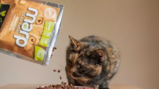 Ilustrační snímek