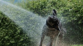 Ilustrační snímek