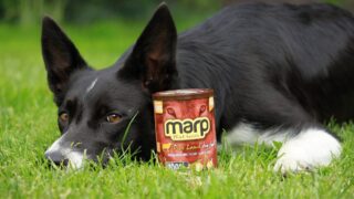 Ilustrační snímek