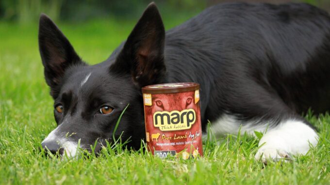 Ilustrační snímek