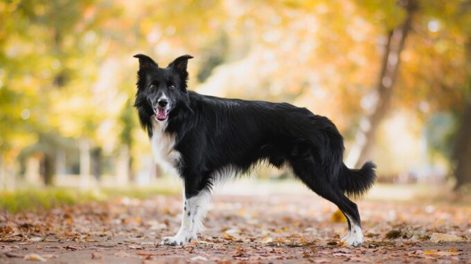 Ilustrační snímek