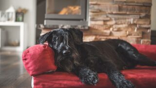 Ilustrační snímek