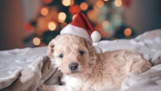 Ilustrační snímek