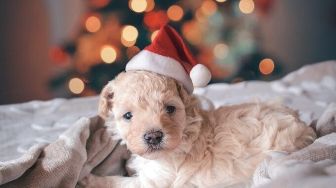 Ilustrační snímek