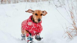 Ilustrační snímek