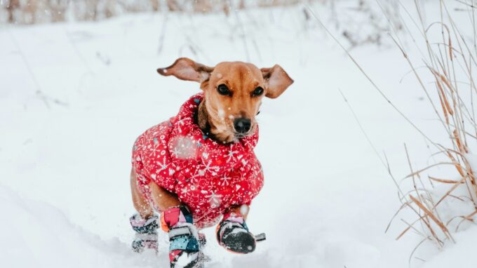 Ilustrační snímek