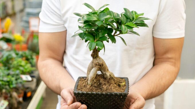 Ilustrační snímek