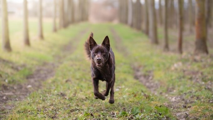 Ilustrační snímek