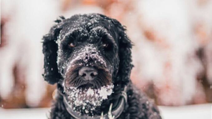 Ilustrační snímek