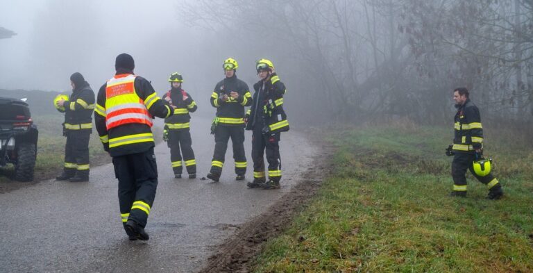 Zdeněk Němec / MAFRA / Profimedia