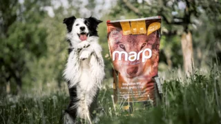 Ilustrační snímek