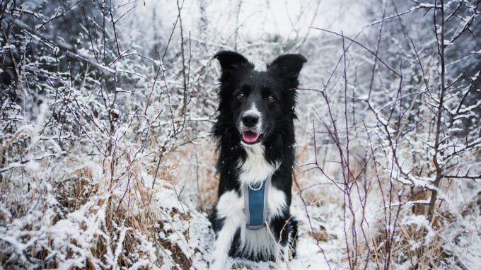 Ilustrašní snímek