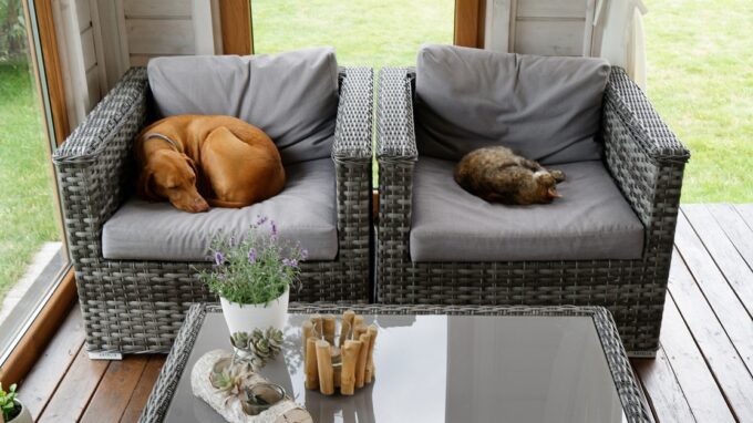 Ilustrační snímek