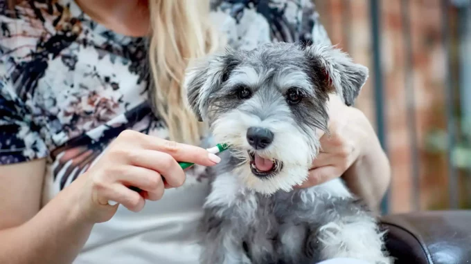 Ilustrační snímek