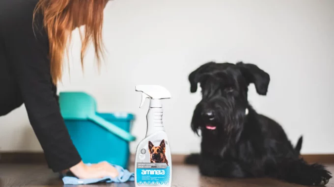 Ilustrační snímek