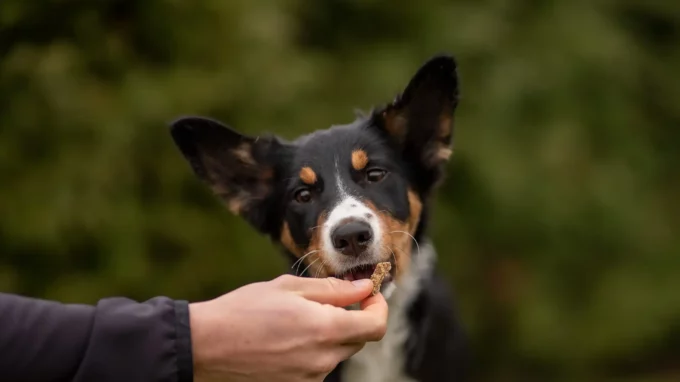 Ilustrašní snímek