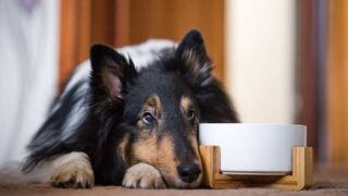 Ilustrační snímek