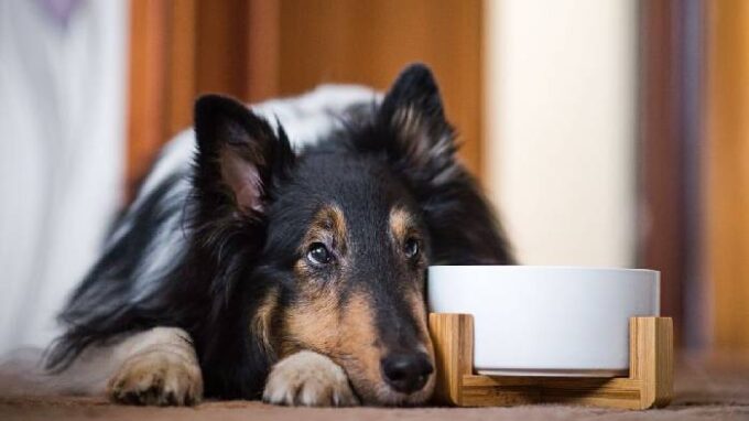 Ilustrační snímek