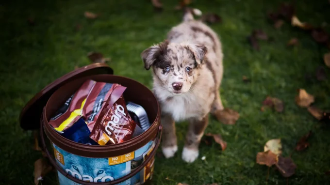 Ilustrační snímek